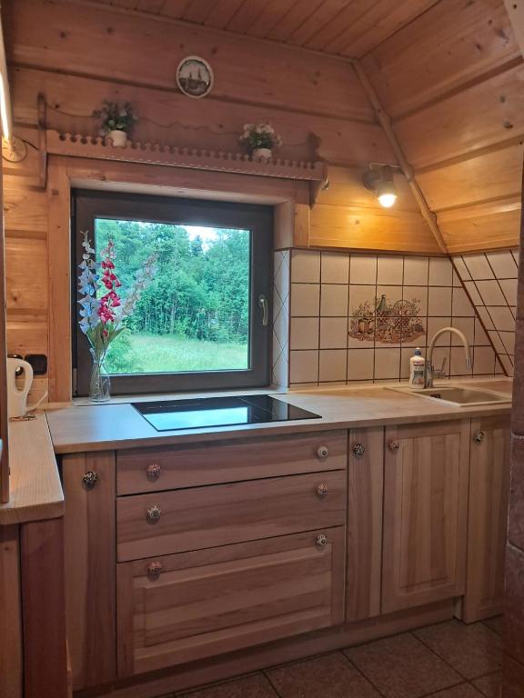 Pokoje Gościnne u Haliny, Kościelisko, Poland – photo 3